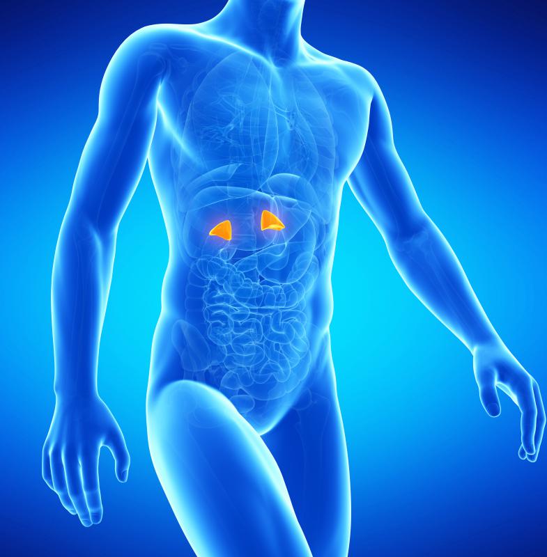 Excessive hair growth could be caused by a malfunctioning of the adrenal glands.