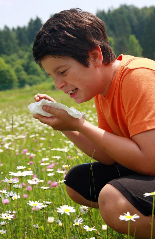 Allergies may be the cause of red pores.