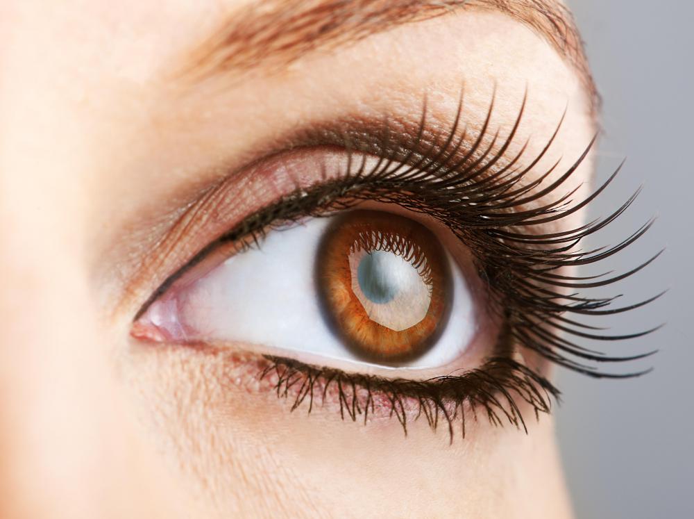 Those with brown eyes can use just about any shade of eyeshadow, as their eyes are a neutral color.