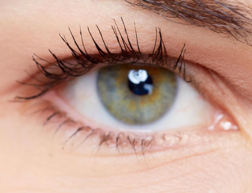 Variation in things like hair and eye color are related to genetics.