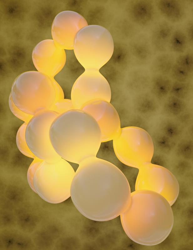 The natural composition of human fat cells make them useful to plastic surgeons.