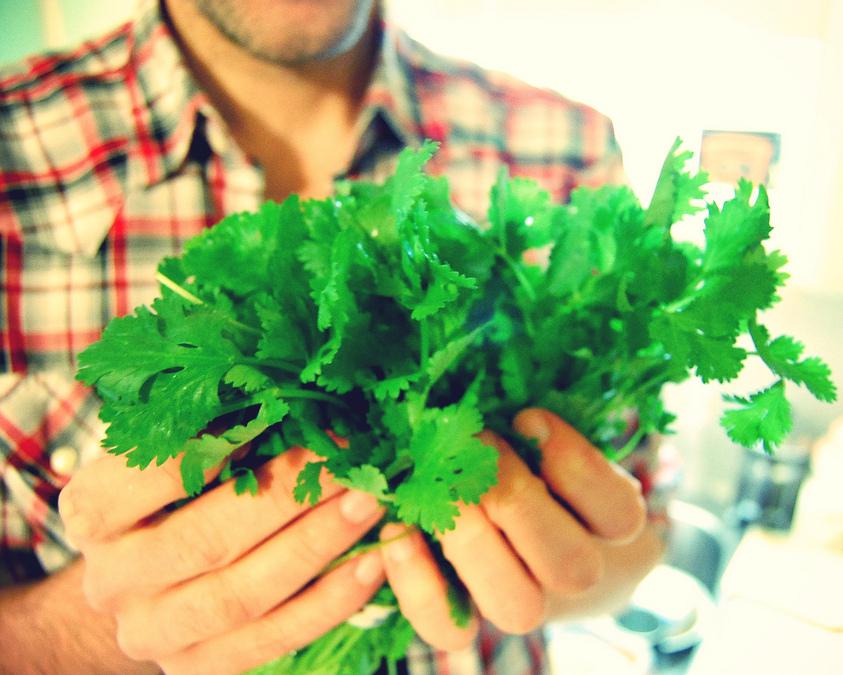 Beard oil sometimes includes coriander extract.
