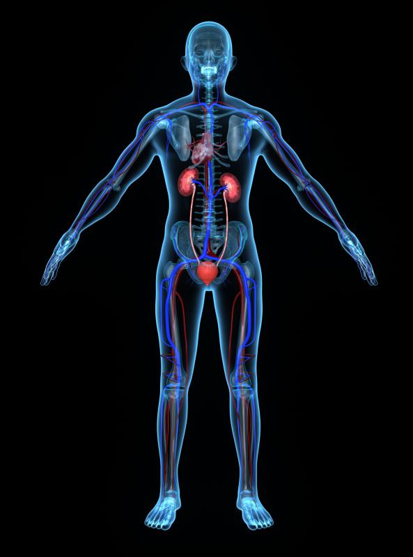People with kidney disease should not use hydroquinone.