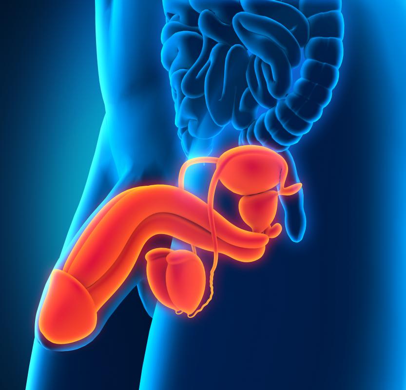 Dry skin on the penis can be caused by using harsh soaps and hot water.