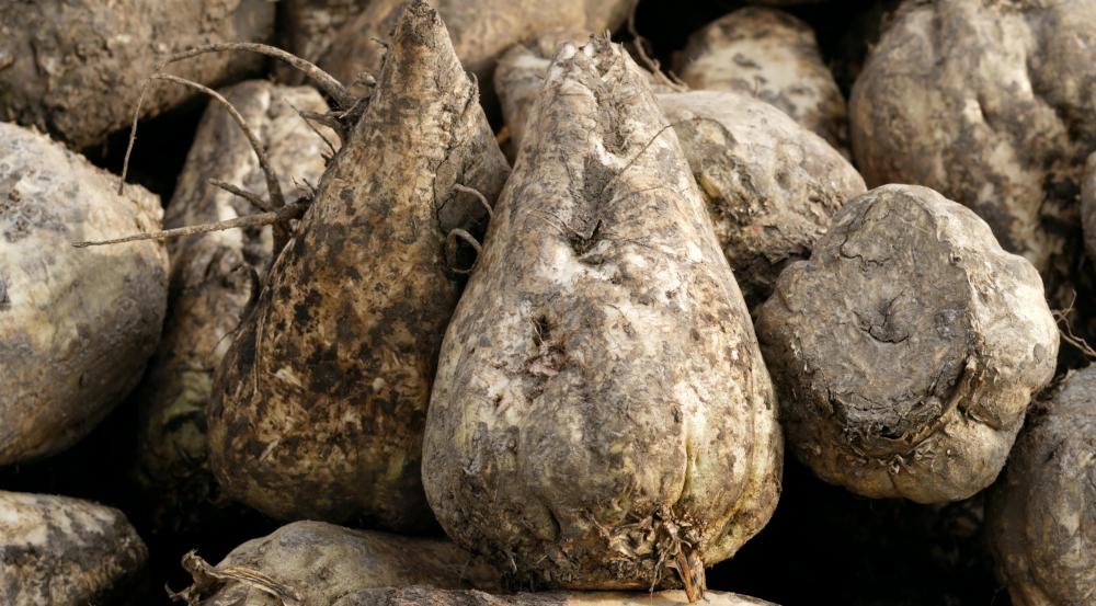 Dihydroxyacetone is a simple carbohydrate often derived from sugar beets.