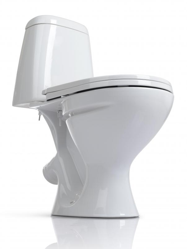 Maxi pads should not be flushed down a toilet.
