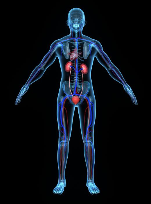 People with kidney disease should not use hydroquinone.