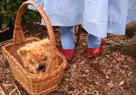 Characters from classic movies, like Dorothy from The Wizard of Oz, can make good Halloween costumes for adults.