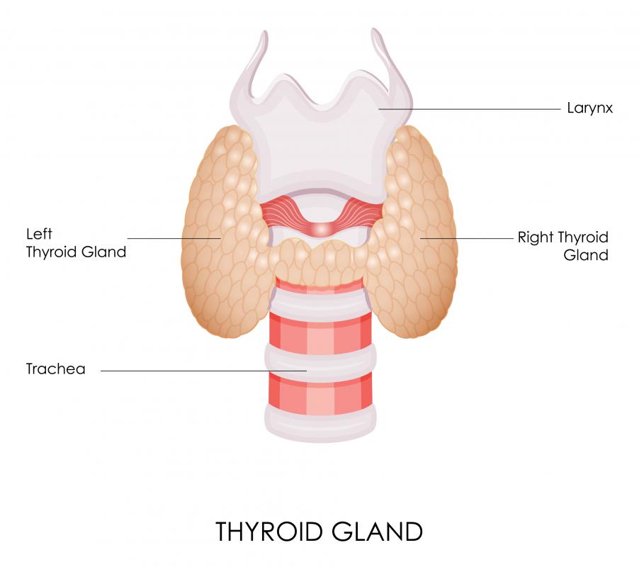 Individuals suffering from hypothyroidism may experience hair thinning.