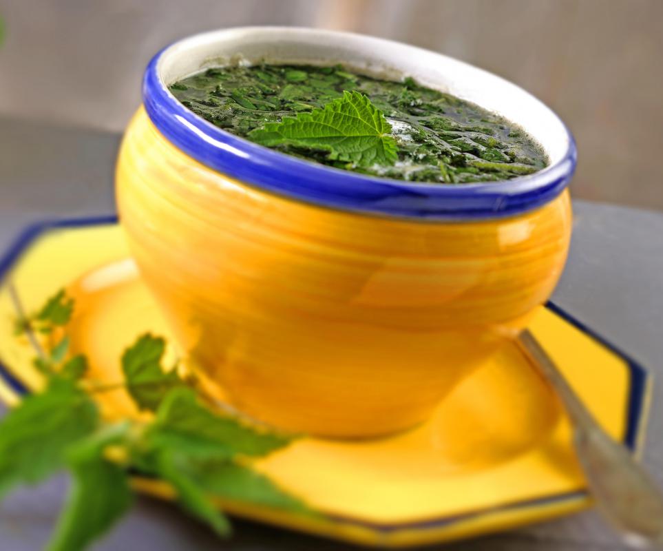 Nettle oil is extracted from the stinging nettle leaf.