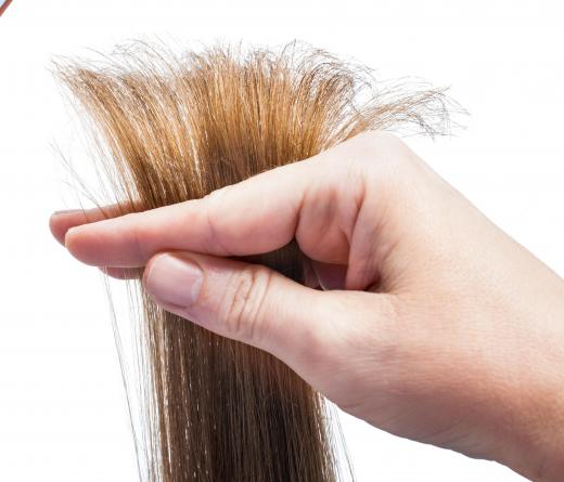 Hair should be trimmed regularly to avoid split ends.