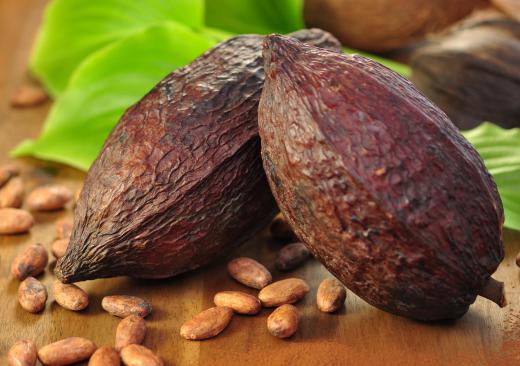 Cocoa butter is made from the cacao seed.