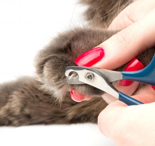 Some nail clippers are made to trim pets' toenails.