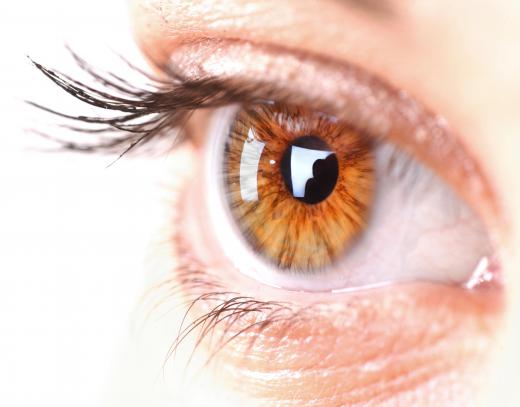 Several treatments, such as permanent curling of lashes, can improve the look and condition of eyelashes.