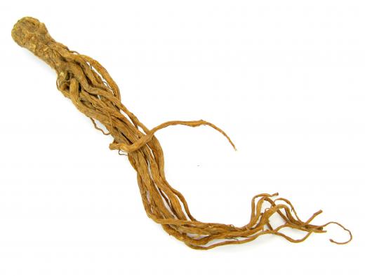 Ginseng root has been used for medicinal purposes for thousands or years.