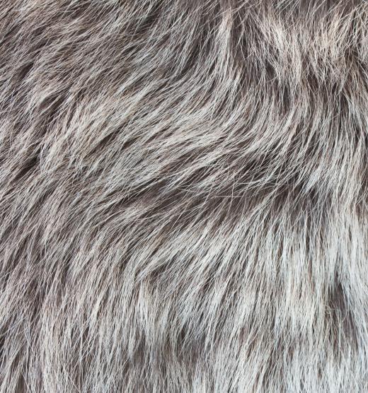 Gray hair can be more brittle than younger hair.