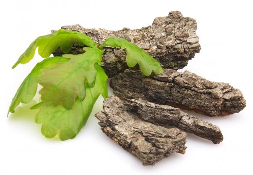 Oak bark, which is sometimes used to make herbal tooth powder.