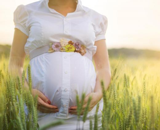 Some pregnant women use cocoa butter as an emollient to help prevent stretch marks.