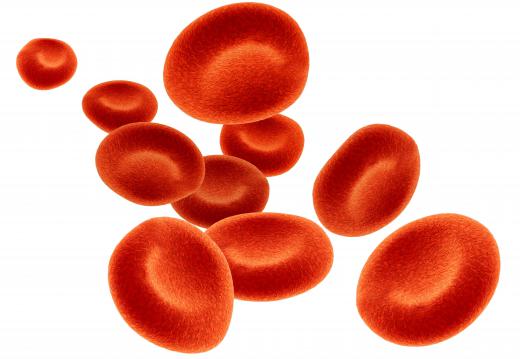 Red blood cells.