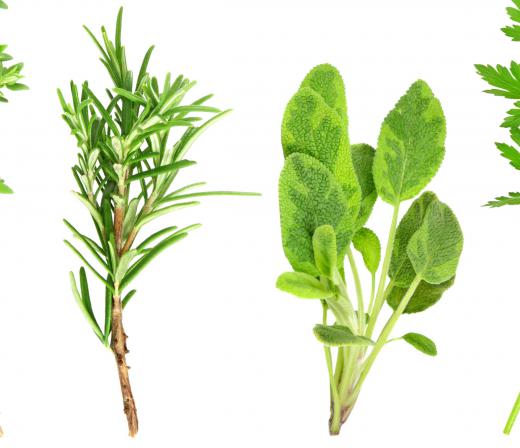 Sprigs of rosemary and sage.