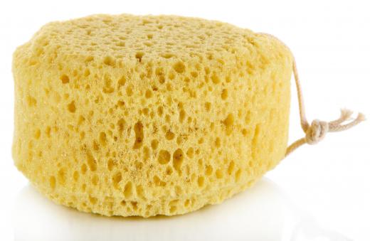 Sea sponges are typically resistant to mildew.