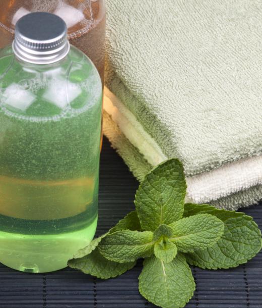 Mint oils are volatile, or essential, oils.