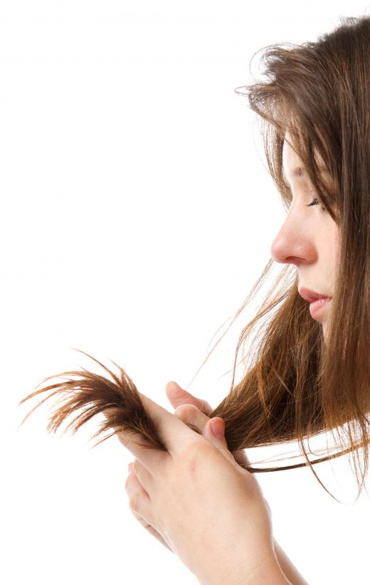 Damaged hair cuticles lead to split ends.