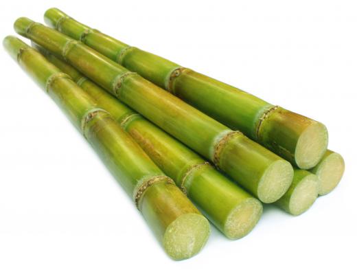 Glycolic acid is derived from sugar cane.