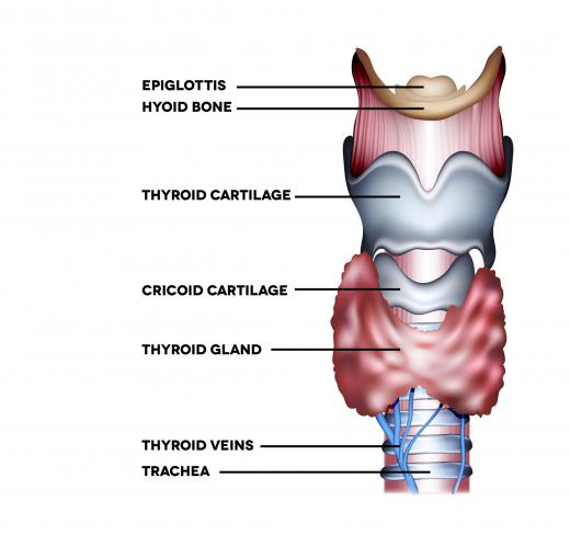 A trachea shave is also known as a thyroid cartilage reduction.